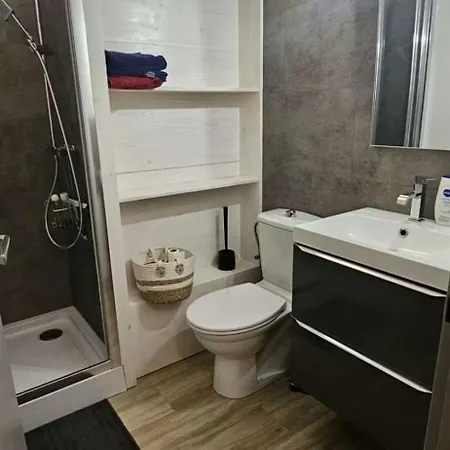Renove En Plein Centre 公寓 科尔马