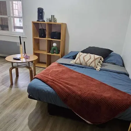 Renove En Plein Centre Apartamento *
