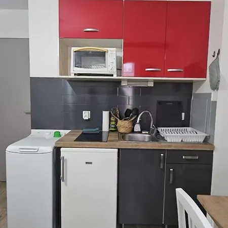 Renove En Plein Centre 科尔马