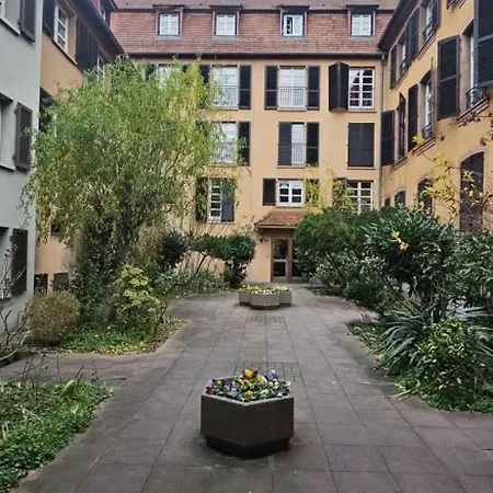 Renove En Plein Centre * 科尔马